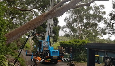 BEST TREE SERVICES